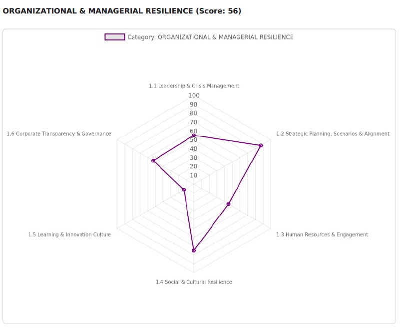 Kurumsal dayanıklılık radar grafiği